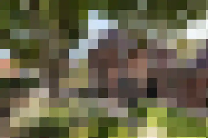 Goorseweg 32 Markelo thumbnail 4