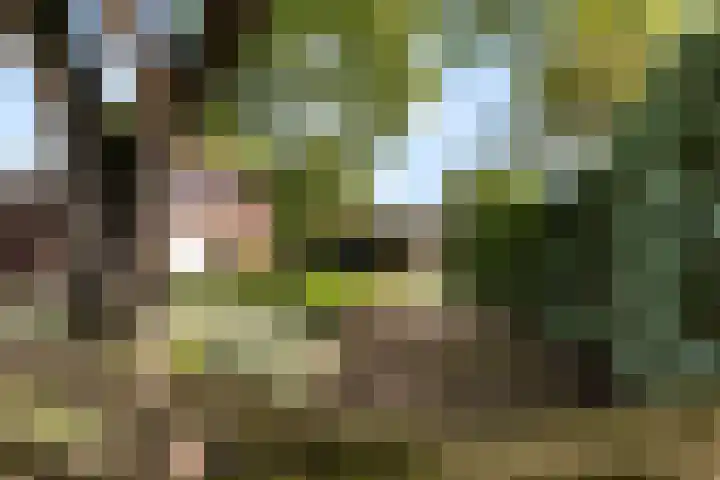 Goorseweg 32 Markelo thumbnail 41