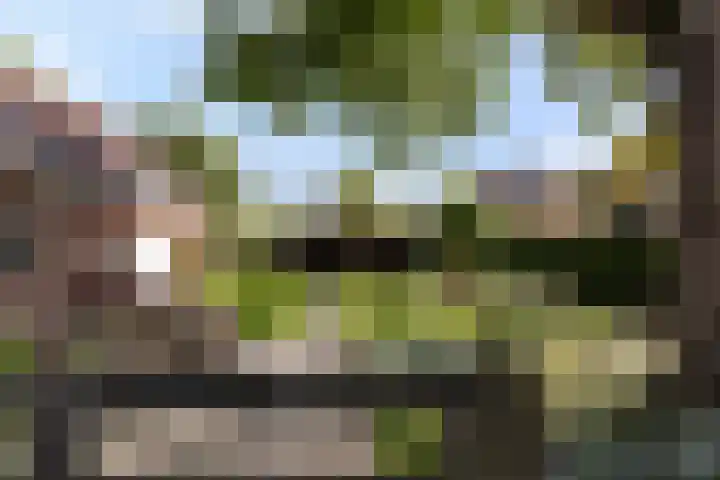 Goorseweg 32 Markelo thumbnail 42