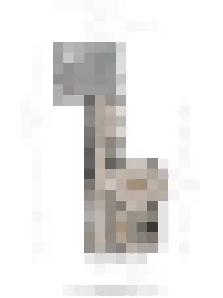 Goorseweg 32 Markelo thumbnail 43
