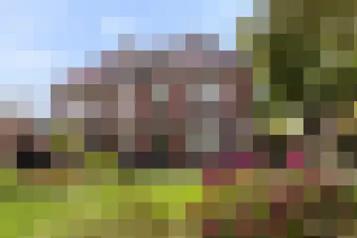 Goorseweg 32 Markelo thumbnail 49