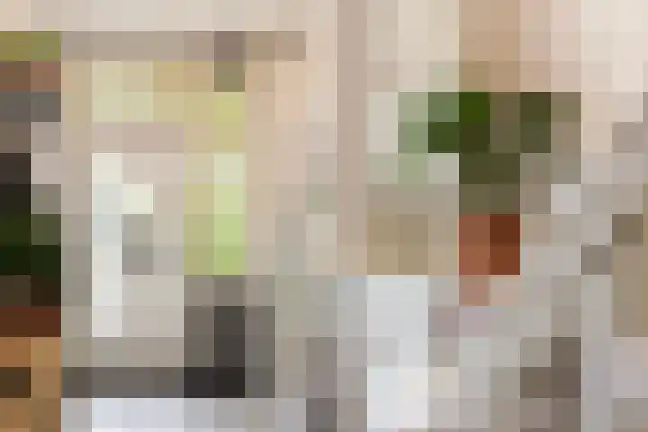 Goorseweg 32 Markelo thumbnail 5