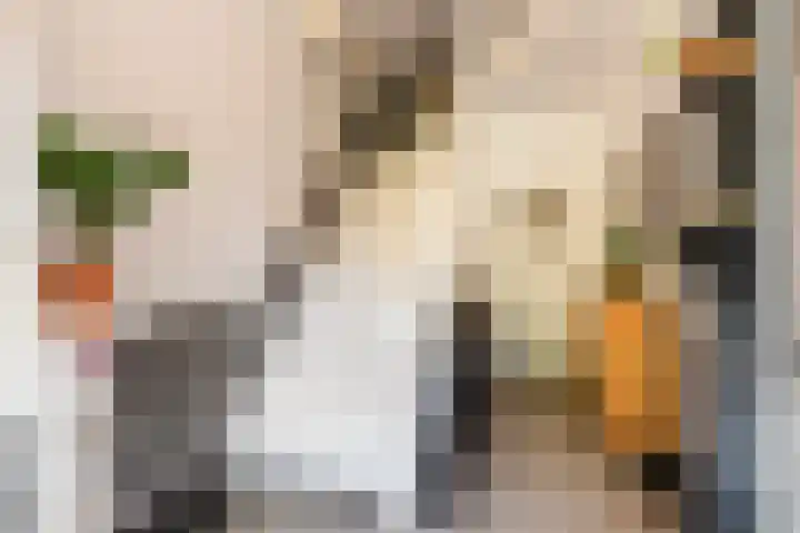 Goorseweg 32 Markelo thumbnail 6
