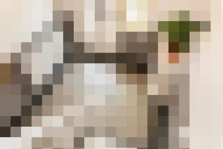 Goorseweg 32 Markelo thumbnail 7