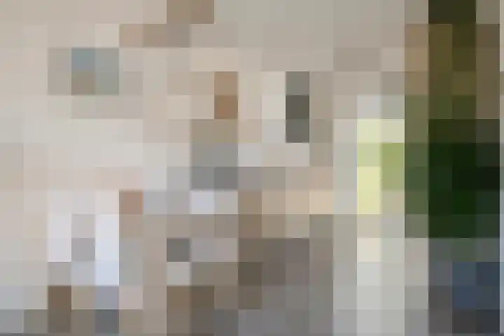 Goorseweg 33 Ottersum thumbnail 12