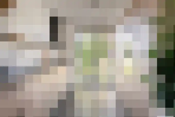 Goorseweg 33 Ottersum thumbnail 13