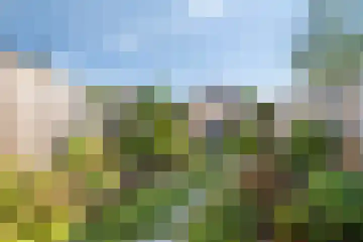 Goorseweg 33 Ottersum thumbnail 20