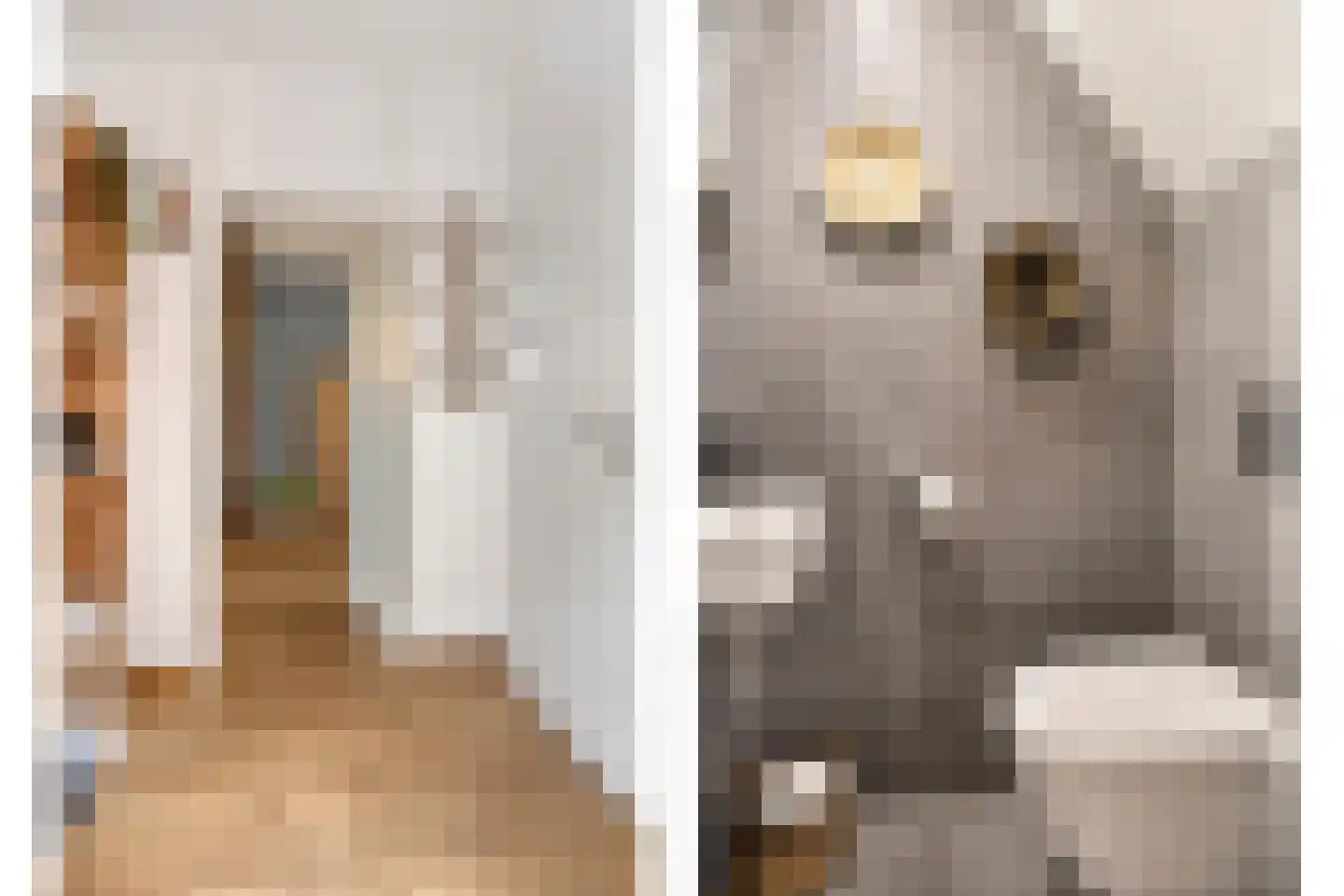 Goorseweg 36 Ottersum thumbnail 8