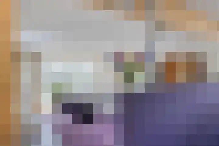 Goorseweg 41 Markelo thumbnail 11