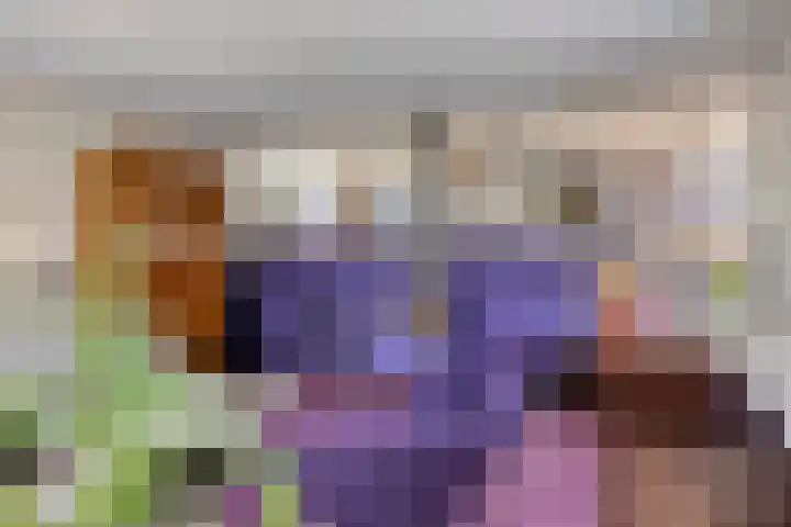 Goorseweg 41 Markelo thumbnail 12