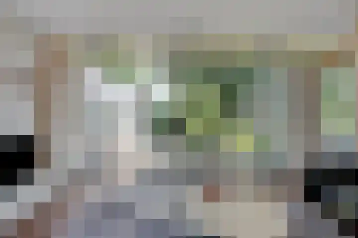 Goorseweg 41 Markelo thumbnail 14