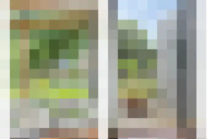 Goorseweg 41 Markelo thumbnail 17
