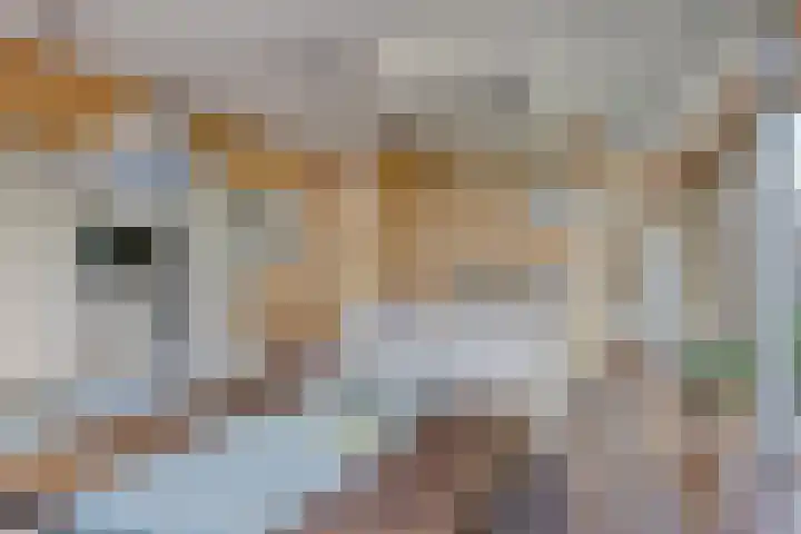 Goorseweg 41 Markelo thumbnail 22