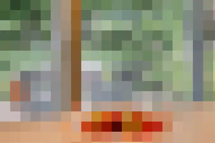 Goorseweg 41 Markelo thumbnail 24