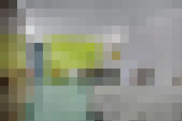 Goorseweg 41 Markelo thumbnail 32