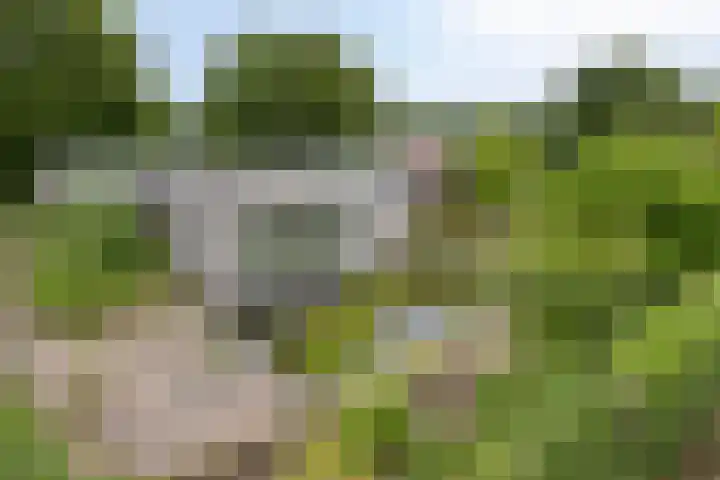 Goorseweg 41 Markelo thumbnail 4