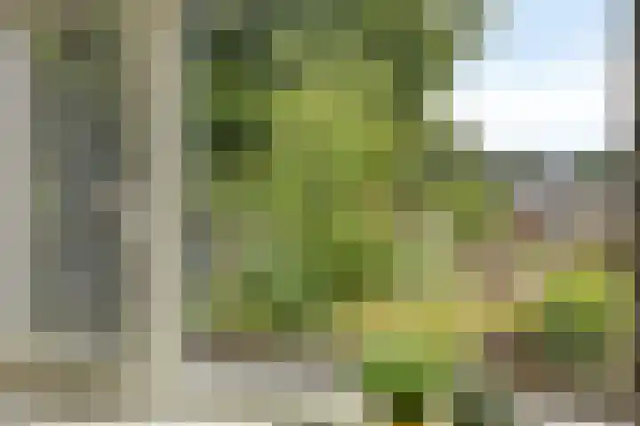 Goorseweg 41 Markelo thumbnail 42