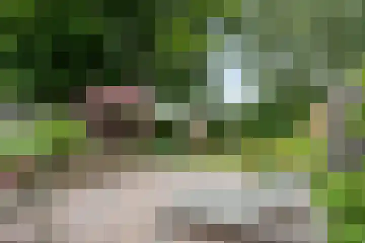 Goorseweg 41 Markelo thumbnail 46