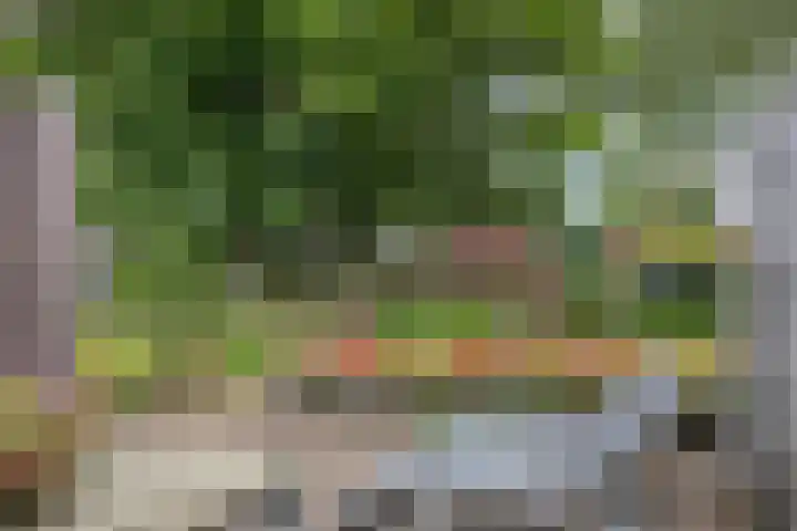 Goorseweg 41 Markelo thumbnail 48