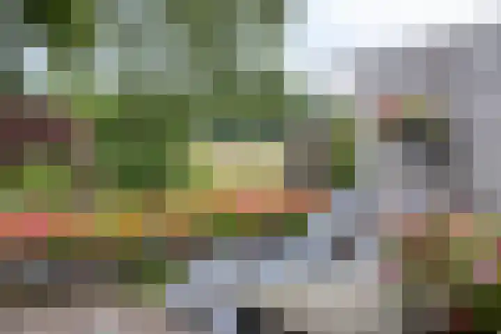 Goorseweg 41 Markelo thumbnail 49