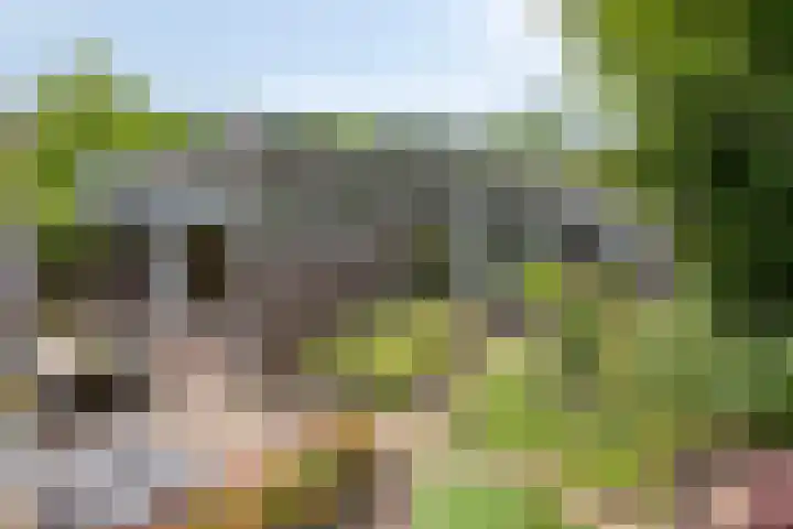Goorseweg 41 Markelo thumbnail 5