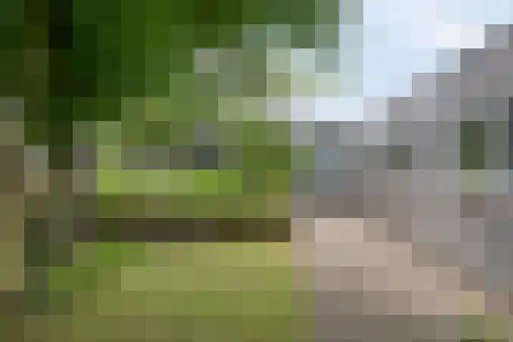 Goorseweg 41 Markelo thumbnail 50