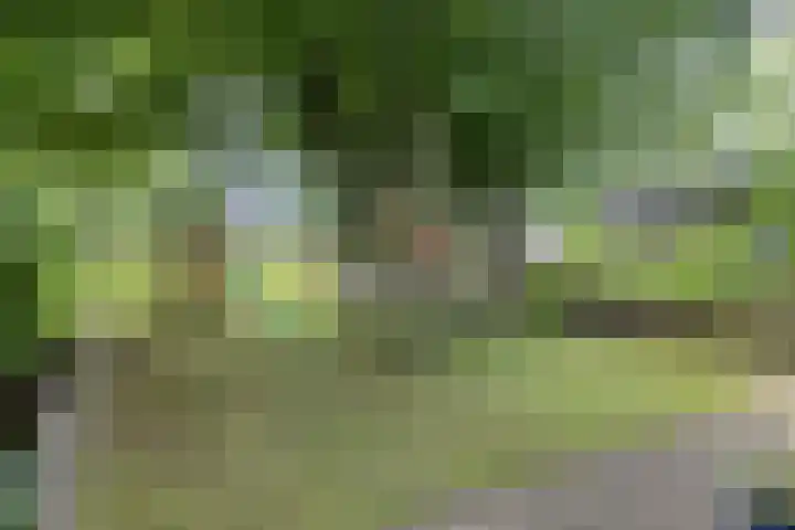 Goorseweg 41 Markelo thumbnail 51