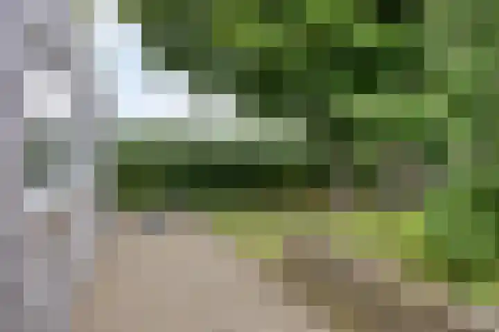Goorseweg 41 Markelo thumbnail 52