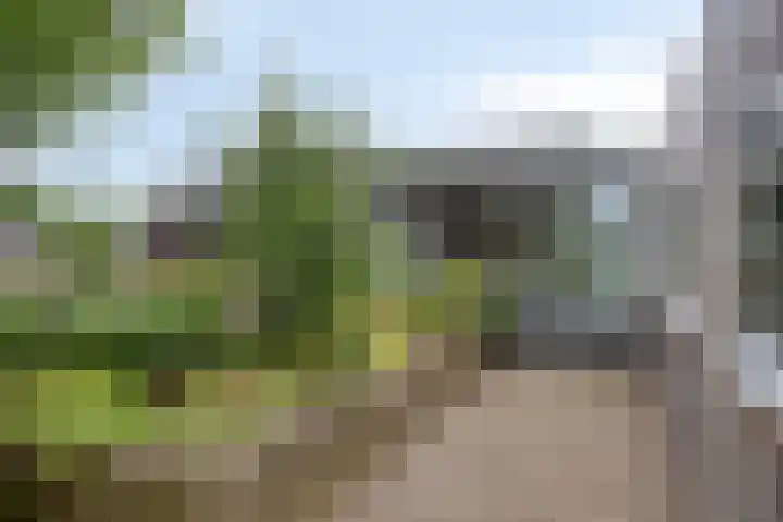 Goorseweg 41 Markelo thumbnail 53