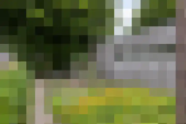 Goorseweg 41 Markelo thumbnail 55