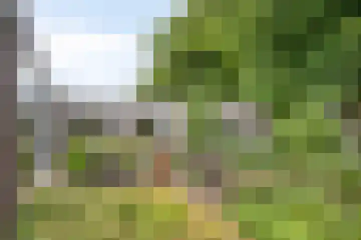Goorseweg 41 Markelo thumbnail 56