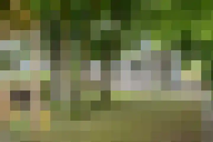 Goorseweg 41 Markelo thumbnail 56