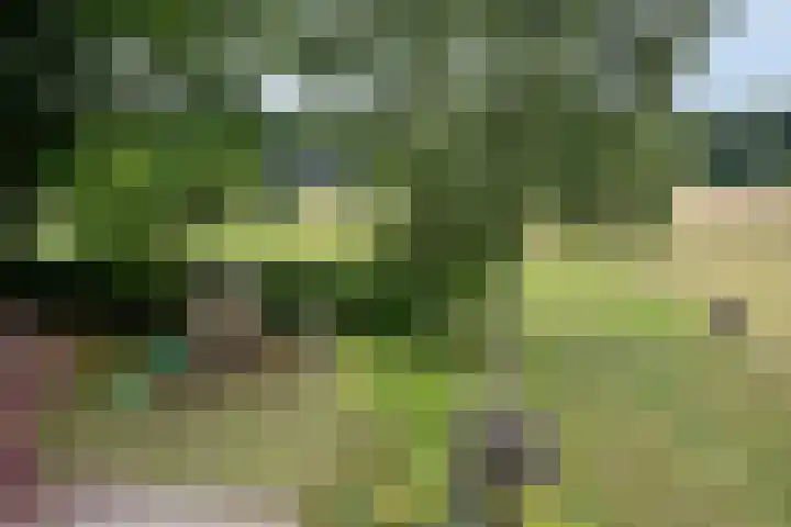 Goorseweg 41 Markelo thumbnail 57