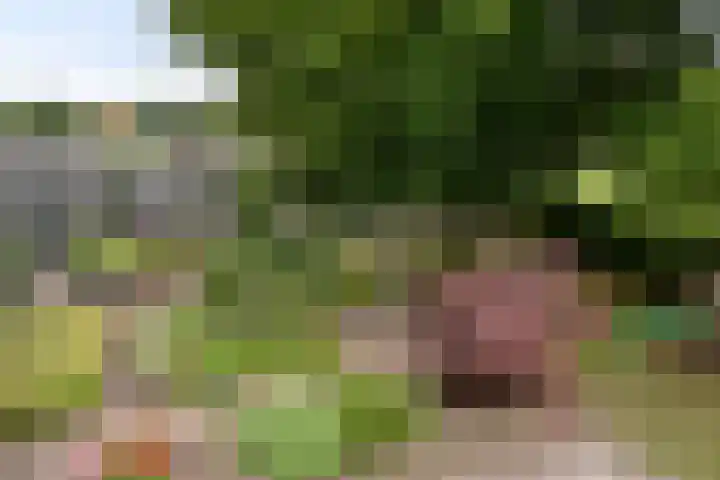 Goorseweg 41 Markelo thumbnail 58