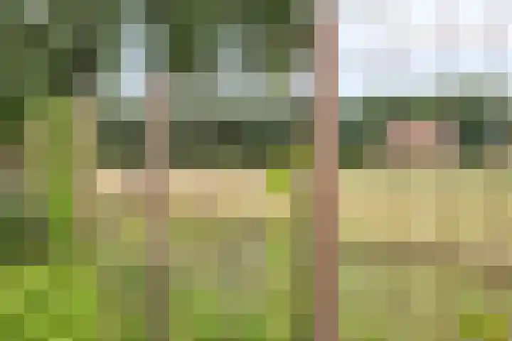 Goorseweg 41 Markelo thumbnail 60