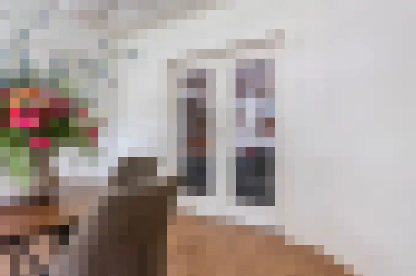 Goorseweg 45 Diepenheim thumbnail 18