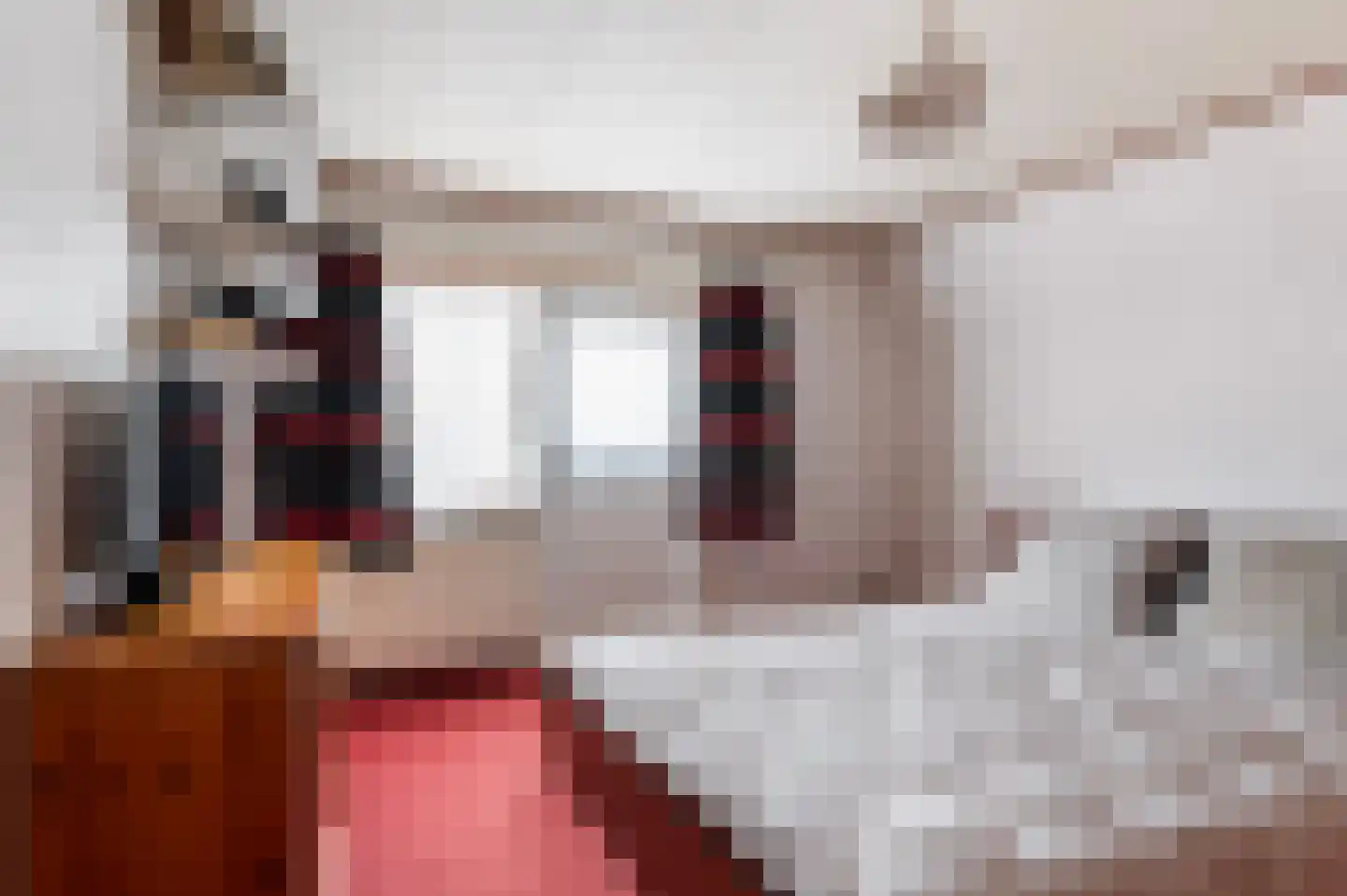 Goorseweg 45 Diepenheim thumbnail 25