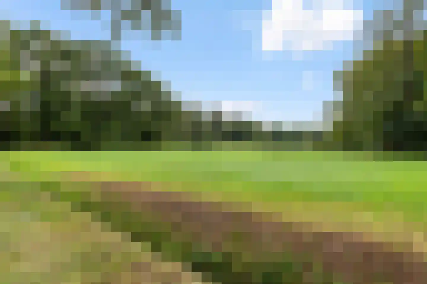 Goorseweg 45 Diepenheim thumbnail 29