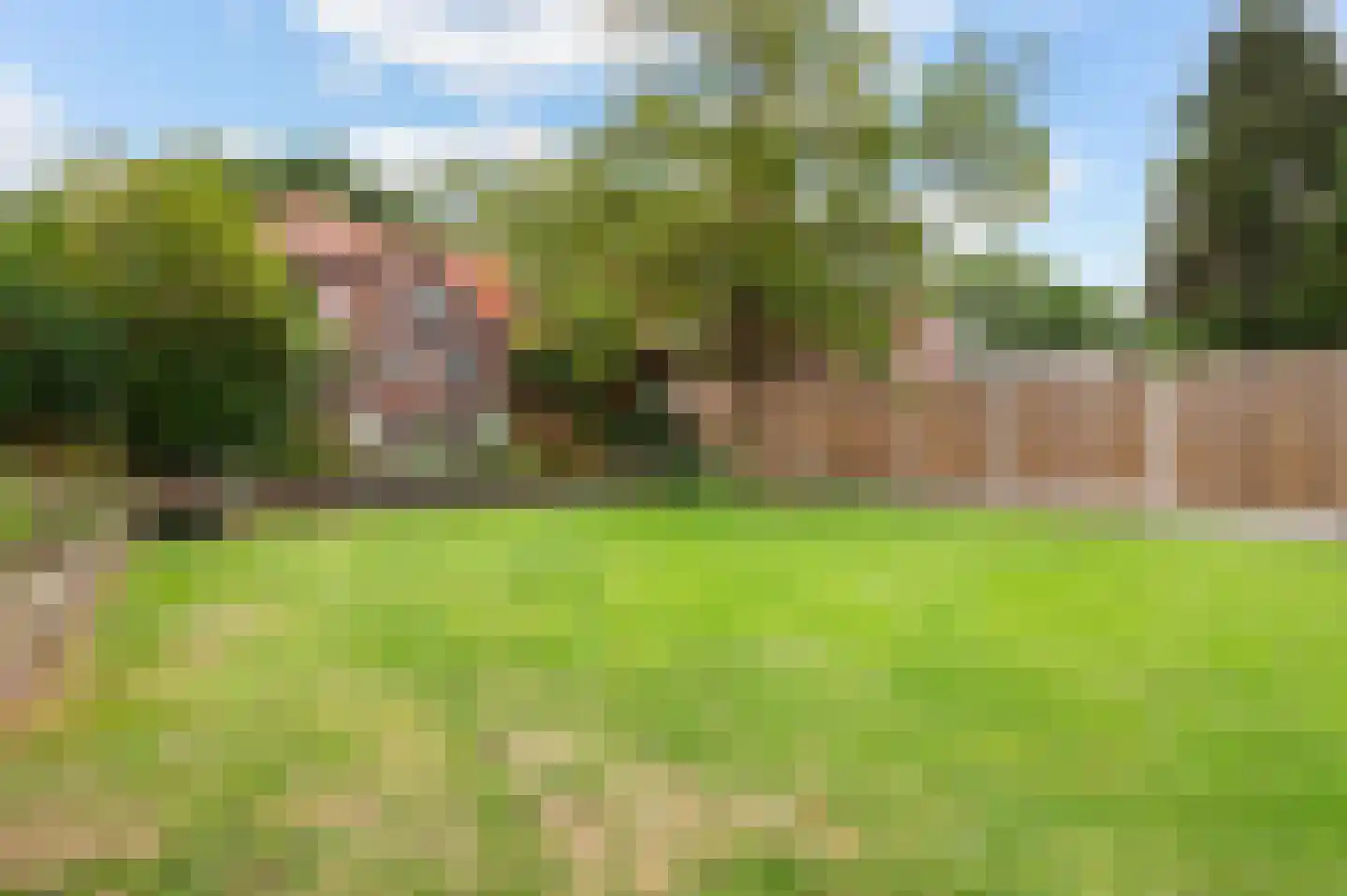 Goorseweg 45 Diepenheim thumbnail 5