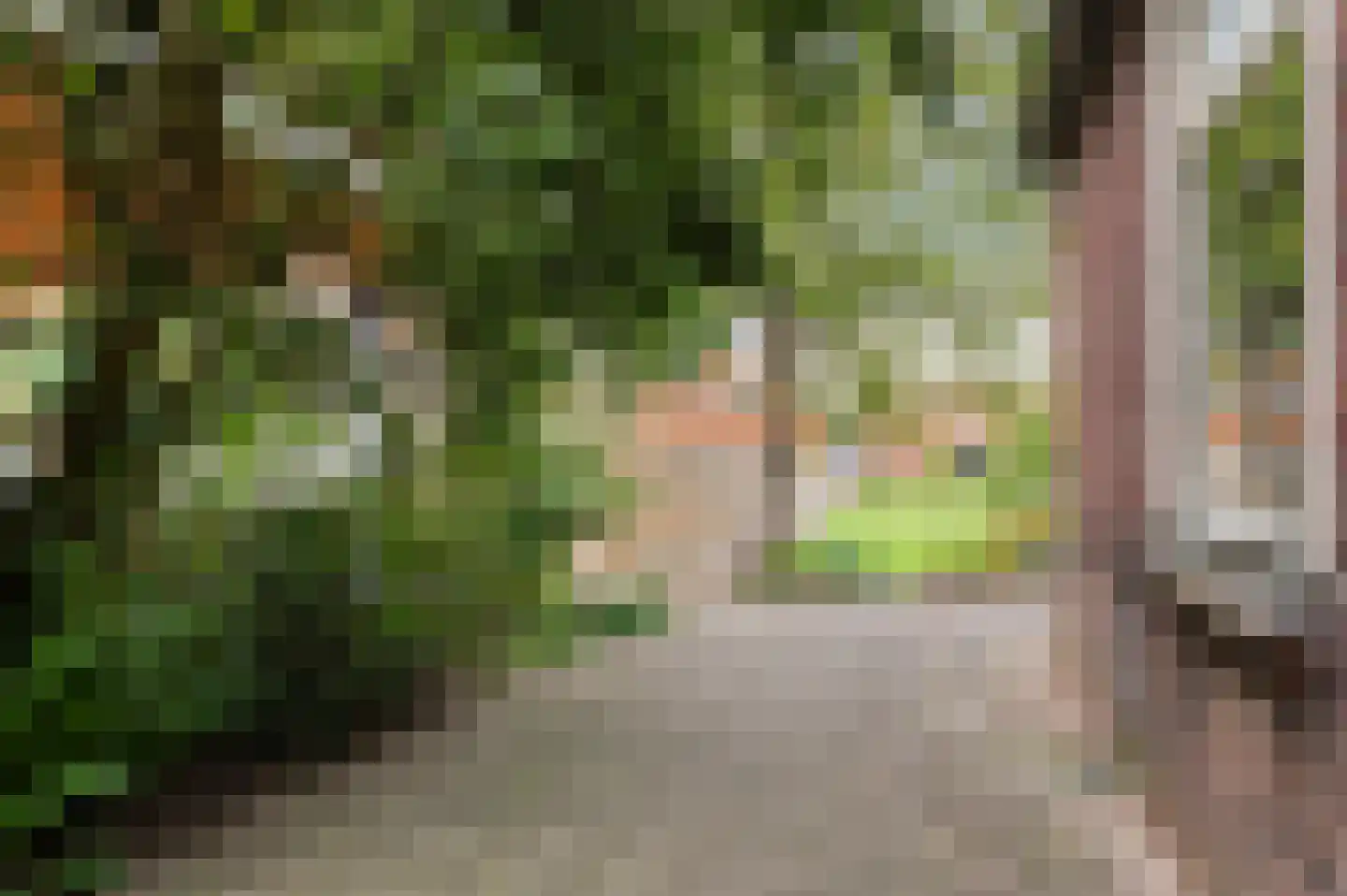Goorseweg 45 Diepenheim thumbnail 6