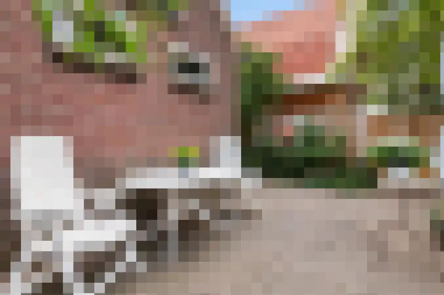 Goorseweg 45 Diepenheim thumbnail 7
