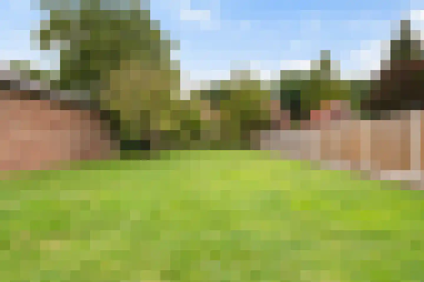 Goorseweg 45 Diepenheim thumbnail 9