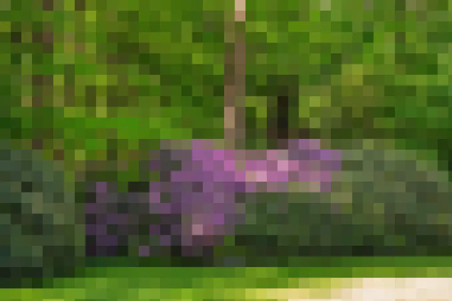 Goorseweg 56 Markelo thumbnail 10