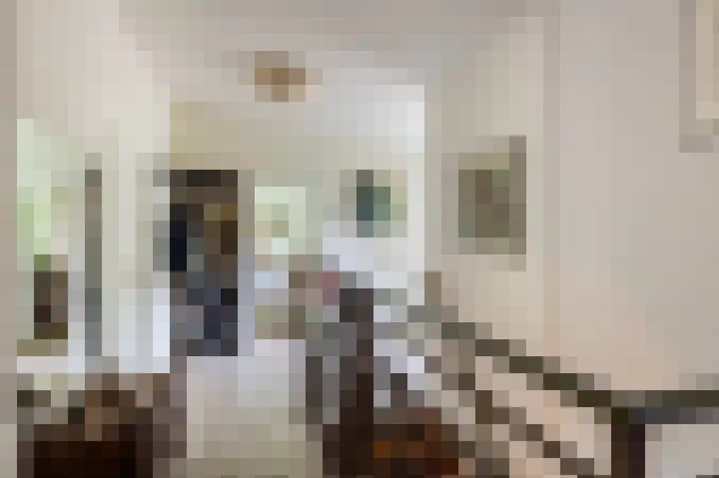 Goorseweg 56 Markelo thumbnail 13
