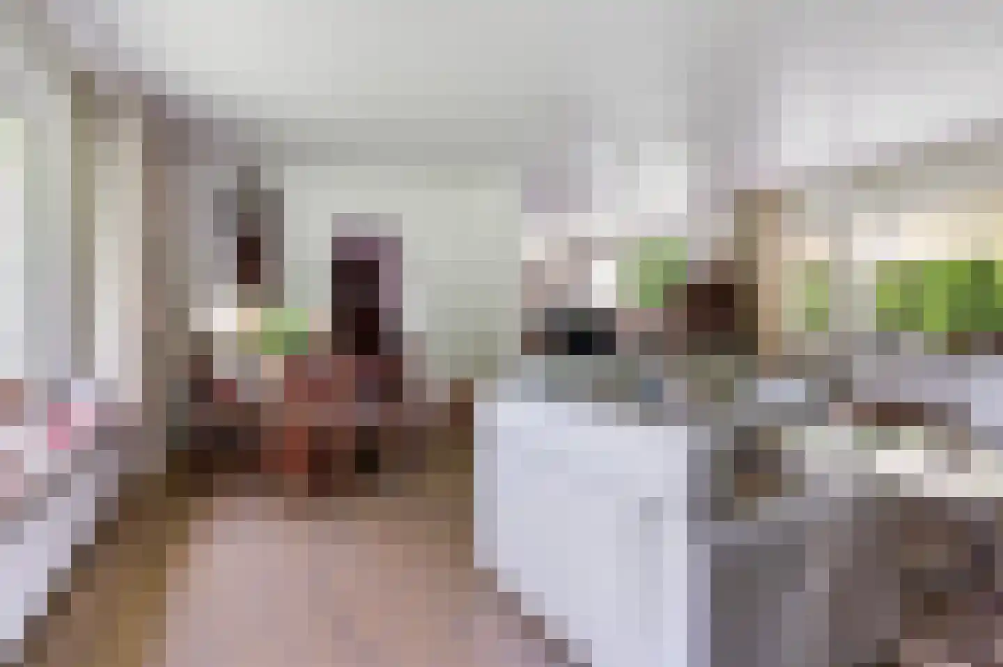 Goorseweg 56 Markelo thumbnail 15