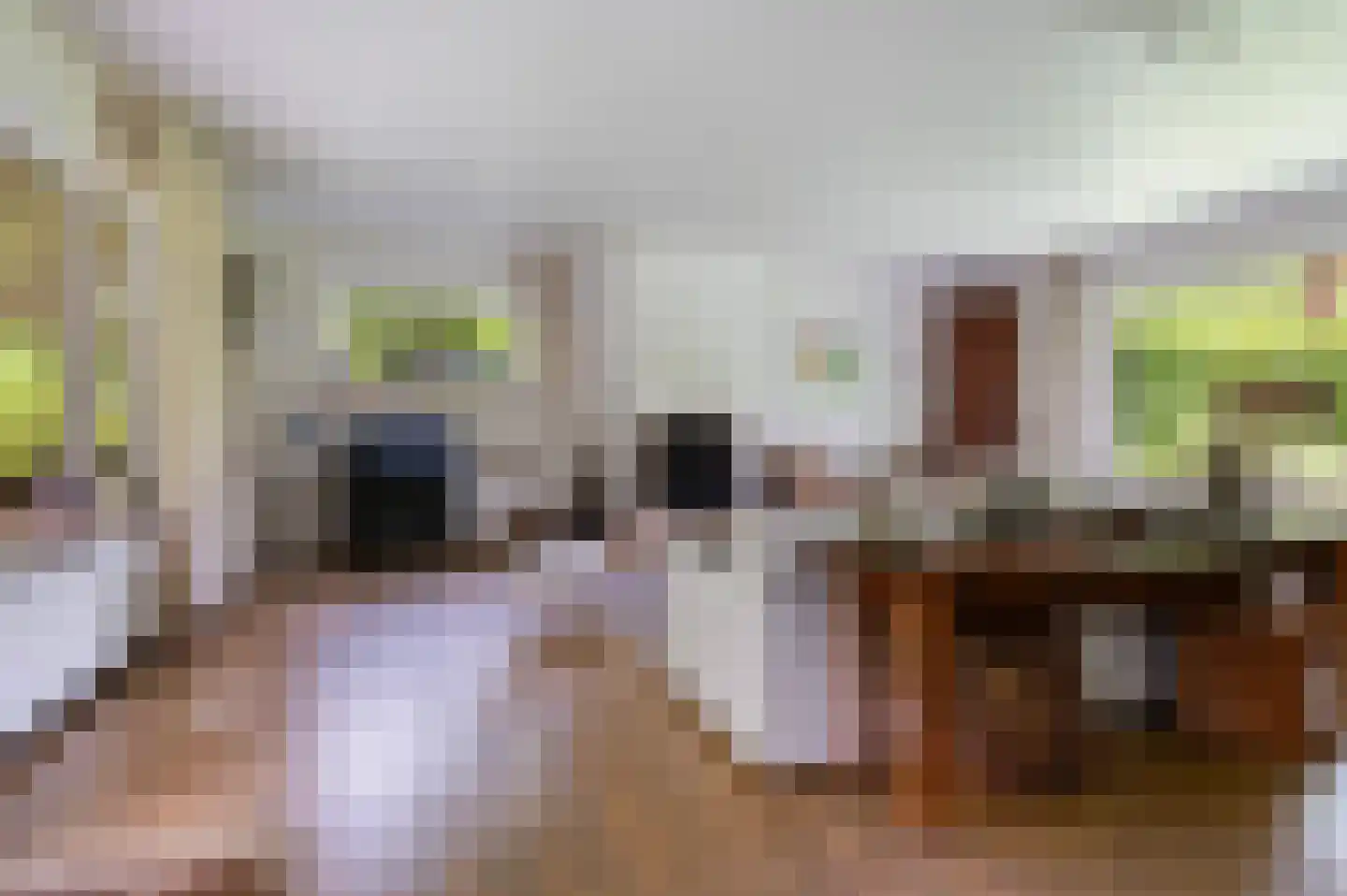 Goorseweg 56 Markelo thumbnail 17