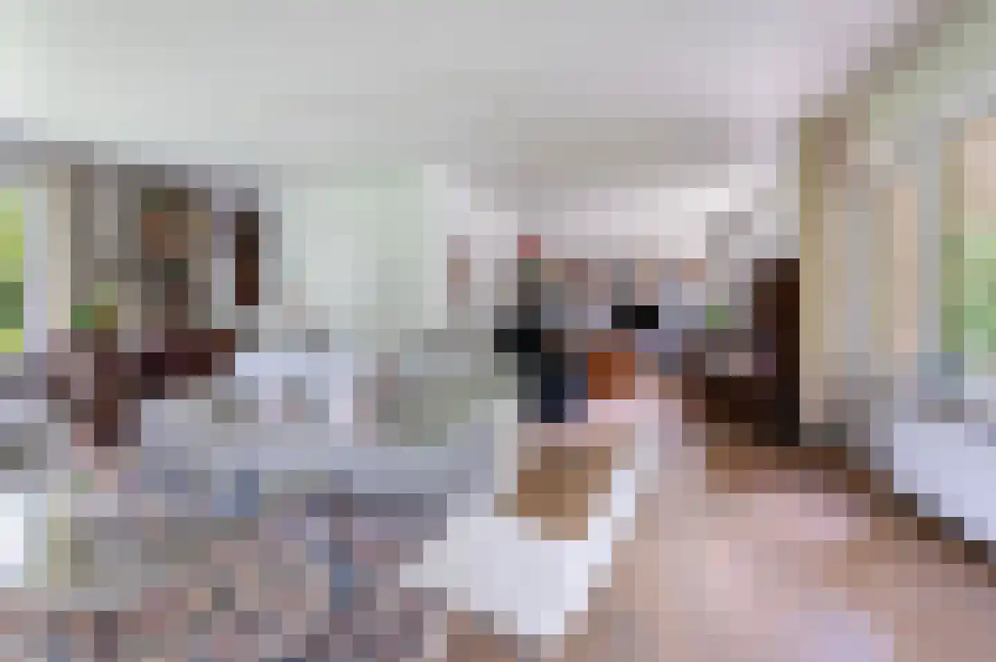 Goorseweg 56 Markelo thumbnail 18
