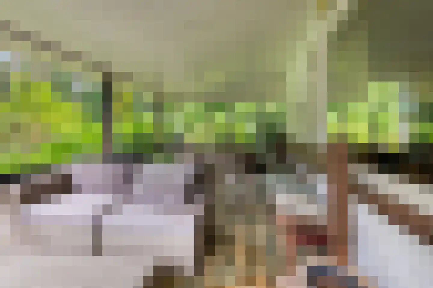 Goorseweg 56 Markelo thumbnail 21