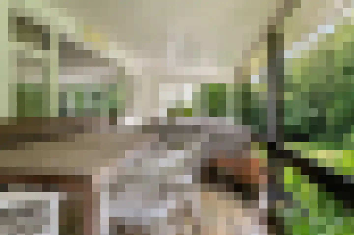 Goorseweg 56 Markelo thumbnail 22