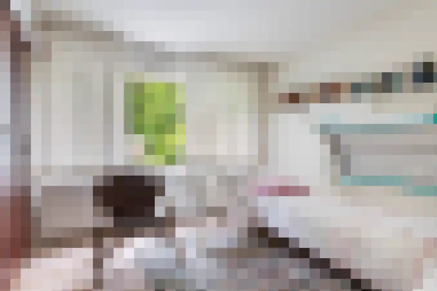 Goorseweg 56 Markelo thumbnail 31